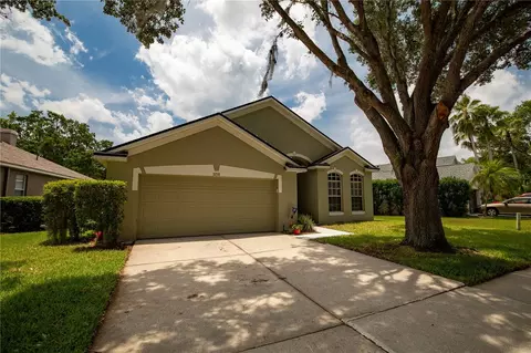 3258 Stonebridge Trl, Valrico, FL 33596