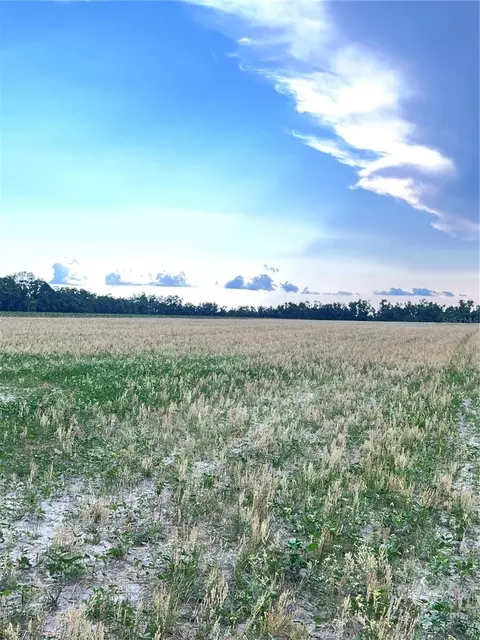 217 Th Rd, Live Oak, FL 32060