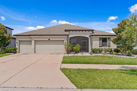 11609 Iris Spring Ct, Riverview, FL 33579