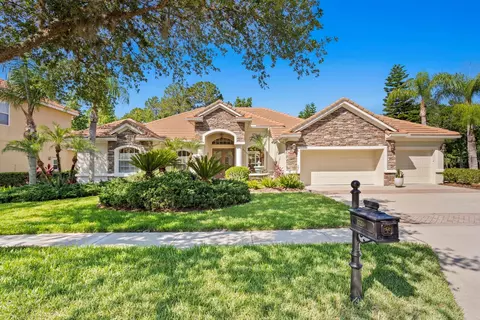 17238 Emerald Chase Dr, Tampa, FL 33647