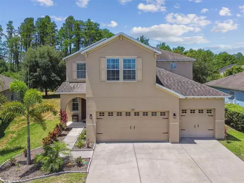 5323 Dittany Ct, Land O Lakes, FL 34639
