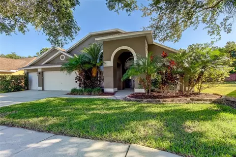 6917 Cohasset Cir, Riverview, FL 33578