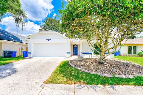 1102 Bloom Hill Ave, Valrico, FL 33596