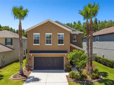 1687 Ludington Ave, Wesley Chapel, FL 33543