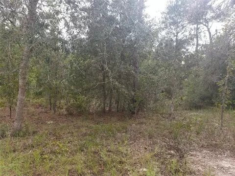 105 Draycott Ave, Lake Placid, FL 33852