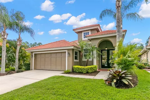 14604 Mirasol Manor Ct, Tampa, FL 33626