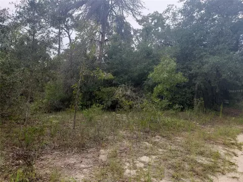 1141 Macaw Ave, Lake Placid, FL 33852