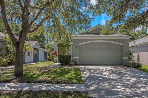 6108 Kiteridge Dr, Lithia, FL 33547