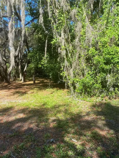 Adler Street, New Port Richey, FL 34654