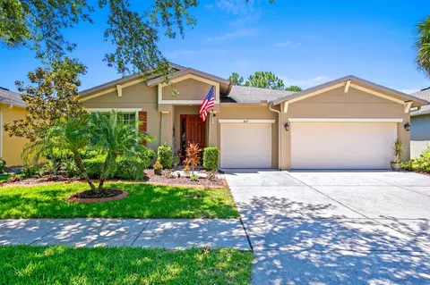 3817 Evergreen Oaks Dr, Lutz, FL 33558