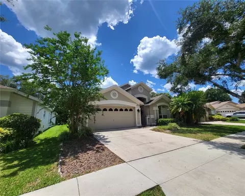 10127 Heather Sound Dr, Tampa, FL 33647