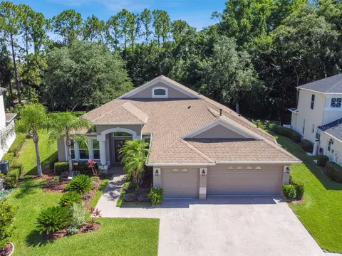 10543 Canary Isle Dr, Tampa, FL 33647