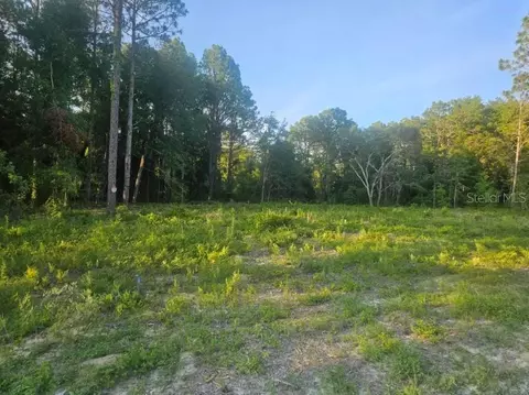 15578 Cliff Swallow Rd, Brooksville, FL 34614