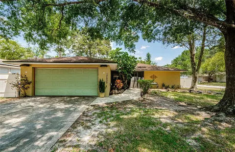 17532 Brandywine Dr, Lutz, FL 33549