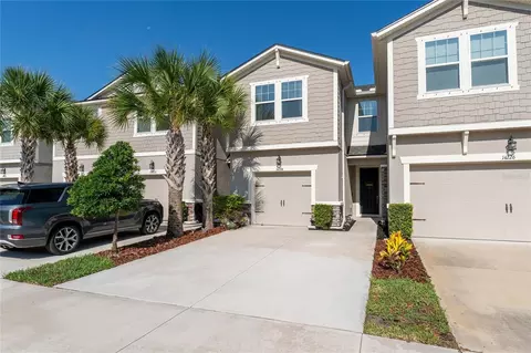 14224 Damselfly Dr, Tampa, FL 33625