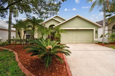 18937 Twinberry Dr, Tampa, FL 33647