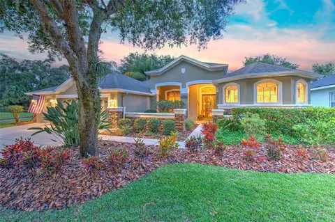 15730 Ibisridge Dr, Lithia, FL 33547