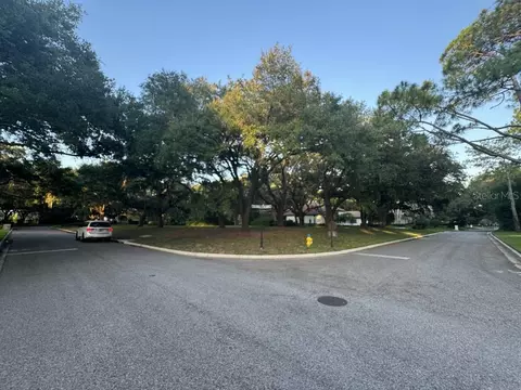 Villarreal De Avila, Tampa, FL 33613
