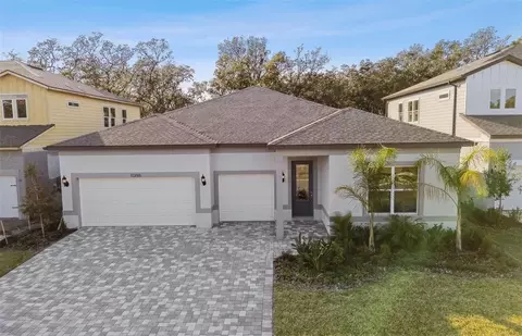 11355 Osprey Preserve Pl, Riverview, FL 33569