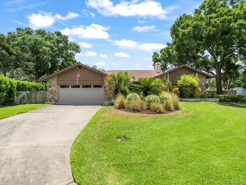 13903 Lake Bluff Ct, Tampa, FL 33624