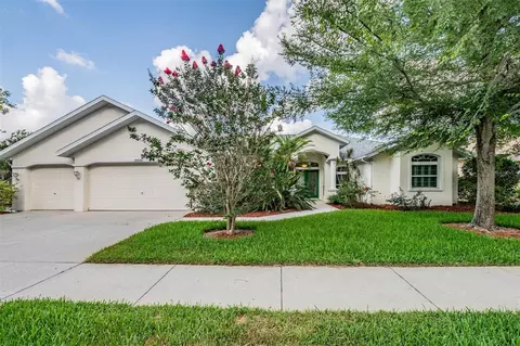 1036 Waybrook Ct, Lutz, FL 33549