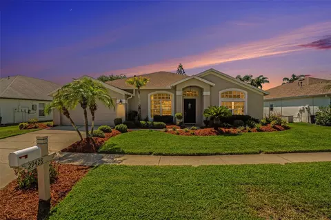 29428 Allegro Dr, Wesley Chapel, FL 33543