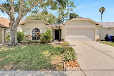 1112 Bloom Hill Ave, Valrico, FL 33596
