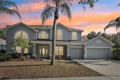 10246 Shadow Branch Dr, Tampa, FL 33647