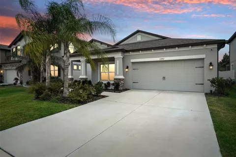 11441 Alachua Creek Ln, Riverview, FL 33579