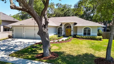 213 Water View Ct, Safety Harbor, FL 34695