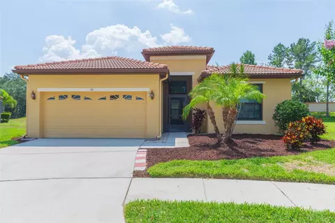 101 Silver Falls Dr, Apollo Beach, FL 33572