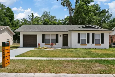729 Holly Ter, Brandon, FL 33511