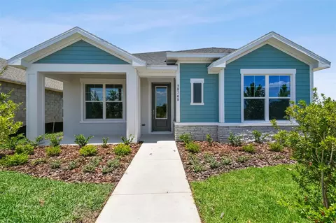 28768 Rambutan Dr, Wesley Chapel, FL 33543