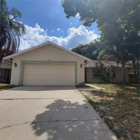 15705 Shillington Dr, Tampa, FL 33624