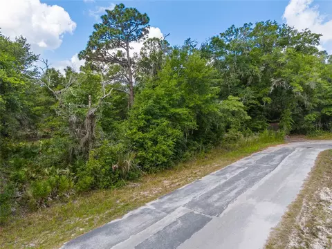 12180 W Olive Tree Ln, Crystal River, FL 34428