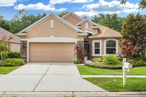 17928 Timber View St, Tampa, FL 33647