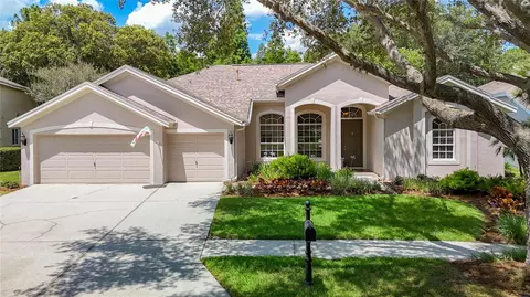 19205 Autumn Woods Ave, Tampa, FL 33647