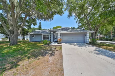 1201 Sail Way, Valrico, FL 33594