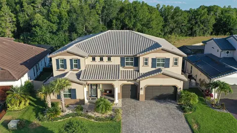 29104 Picana Ln, Wesley Chapel, FL 33543