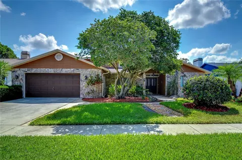 16505 E Course Dr, Tampa, FL 33624