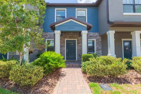 28599 Tranquil Lake Cir, Wesley Chapel, FL 33543
