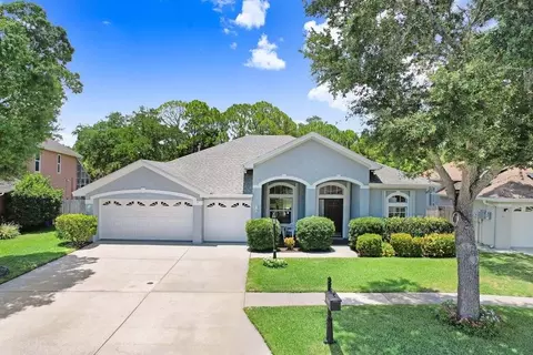 10008 Bennington Dr, Tampa, FL 33626