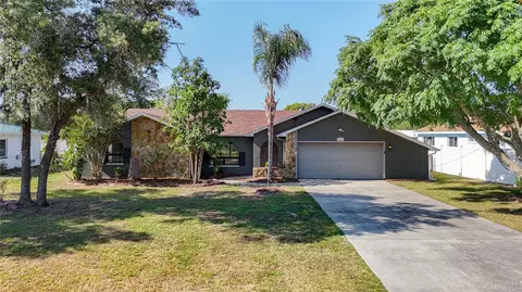 14074 Oleta St, Spring Hill, FL 34609