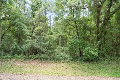 702 E Byrd Loop, Citrus Springs, FL 34434 photo 1