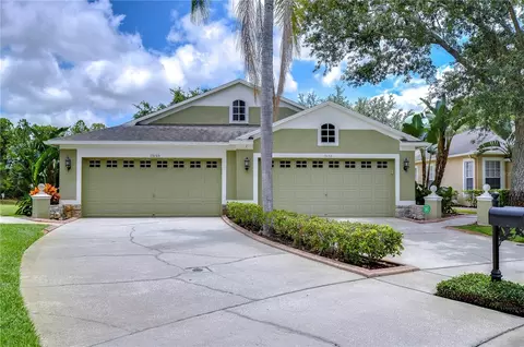 19153 White Wing Pl, Tampa, FL 33647