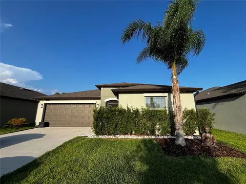 11339 Misty Moss Dr, Wimauma, FL 33598