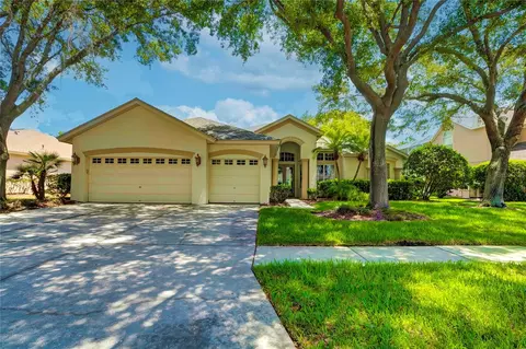 6115 Cezanne Ave, Lutz, FL 33558