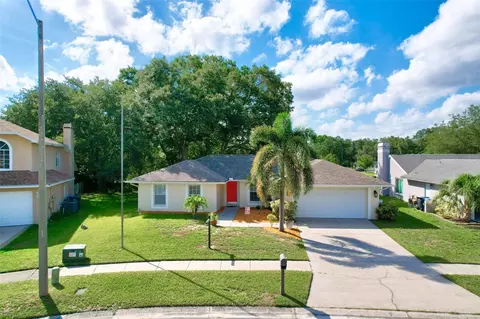 10404 Ashley Oaks Dr, Riverview, FL 33578