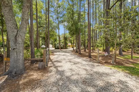 19502 Pine Tree Rd, Odessa, FL 33556