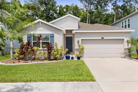 32959 Sand Creek Dr, Wesley Chapel, FL 33543